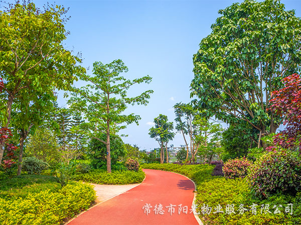 綠化養(yǎng)護(hù) 綠化養(yǎng)護(hù)