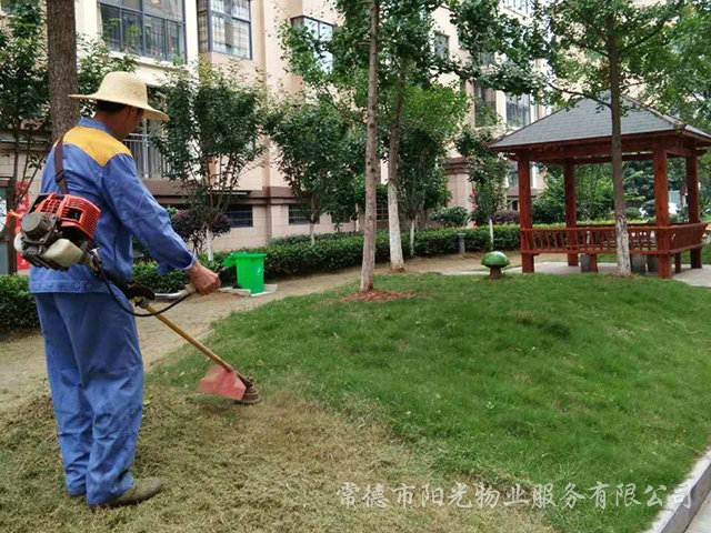 綠化養(yǎng)護(hù) 綠化養(yǎng)護(hù)