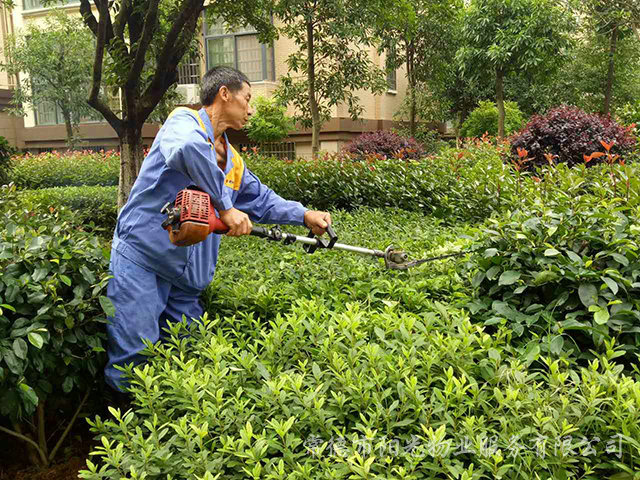 綠化養(yǎng)護(hù) 綠化養(yǎng)護(hù)