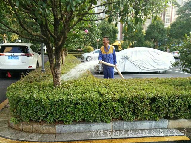 綠化養(yǎng)護(hù) 綠化養(yǎng)護(hù)