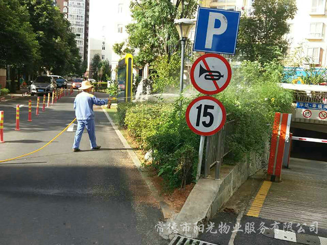 綠化養(yǎng)護(hù) 綠化養(yǎng)護(hù)