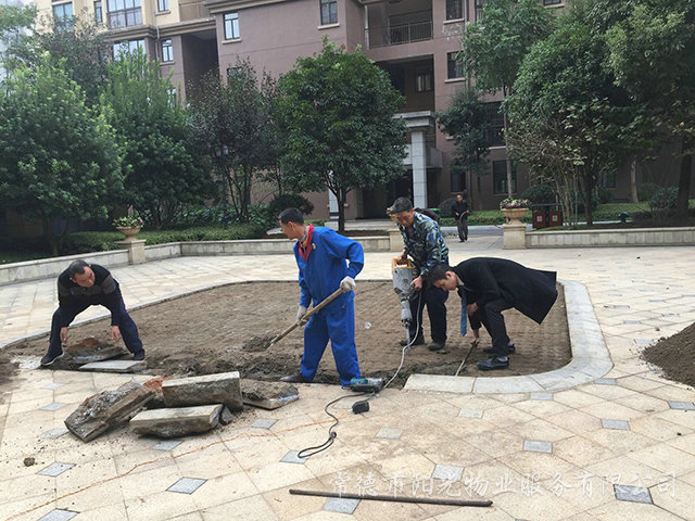 公共部位公共設(shè)備養(yǎng)護(hù) 公共部位公共設(shè)備養(yǎng)護(hù)